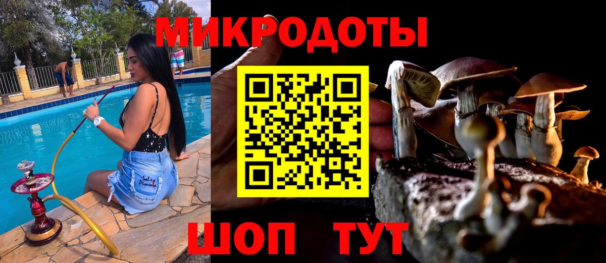 Галлюциногенные грибы MAGIC MUSHROOMS  Вход с VPN  Чебоксары 
